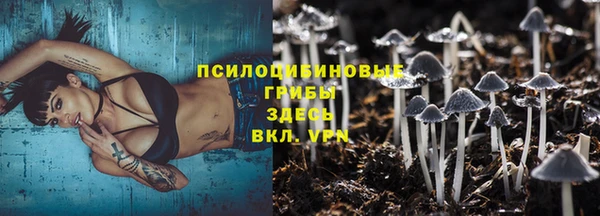 стаф Абдулино