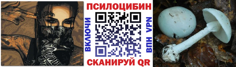 наркошоп  Уржум  Галлюциногенные грибы прущие грибы 